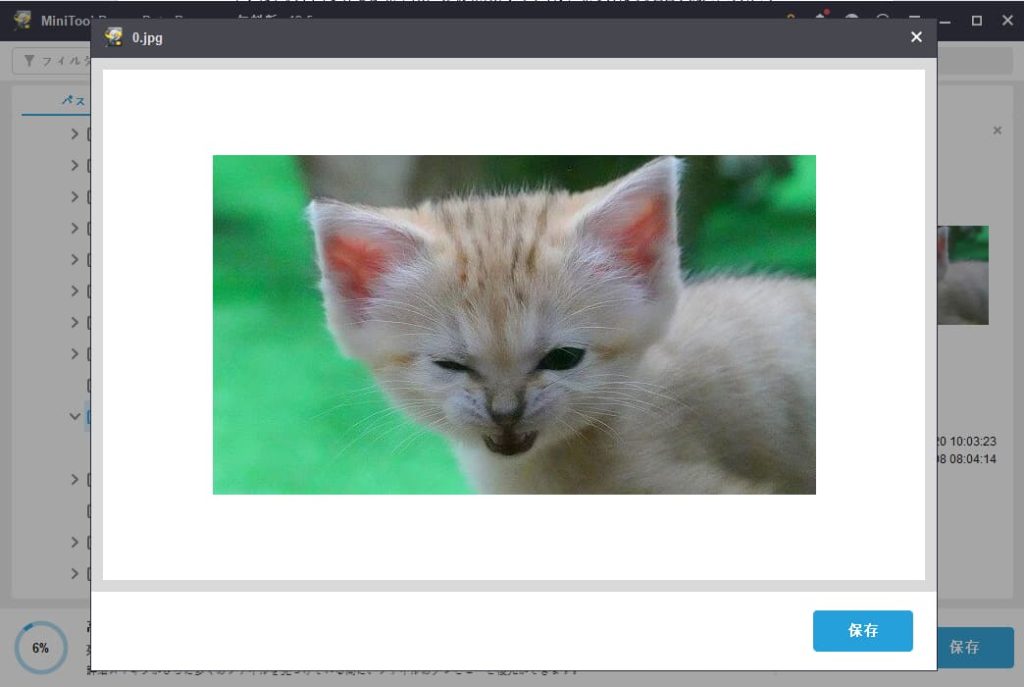 MiniTool Power Data Recoveryの使い方5