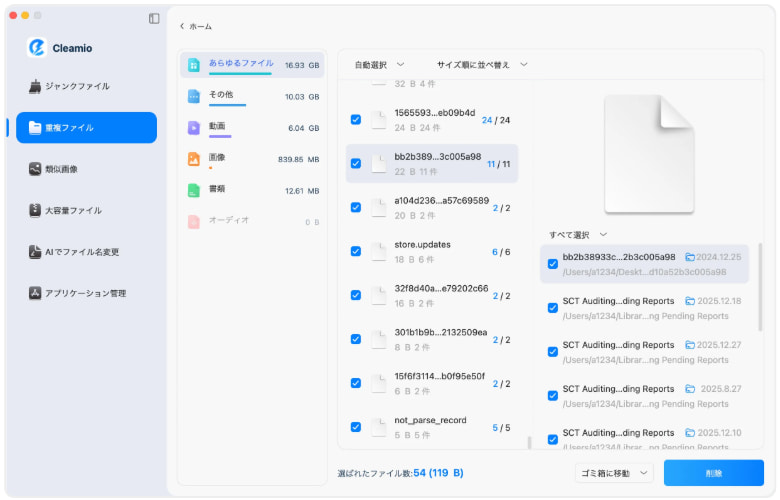 Tenorshare Cleamioの使い方4
