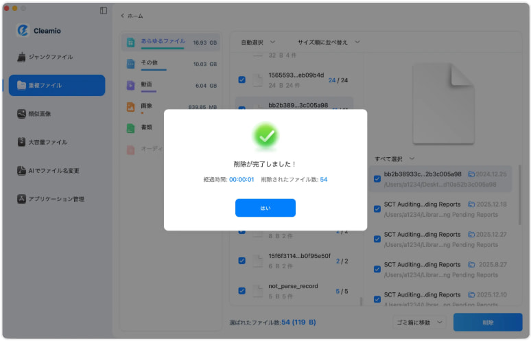 Tenorshare Cleamioの使い方5